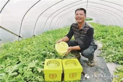 上海确诊 吃瓜,吃瓜群众热议疫情动态  第1张